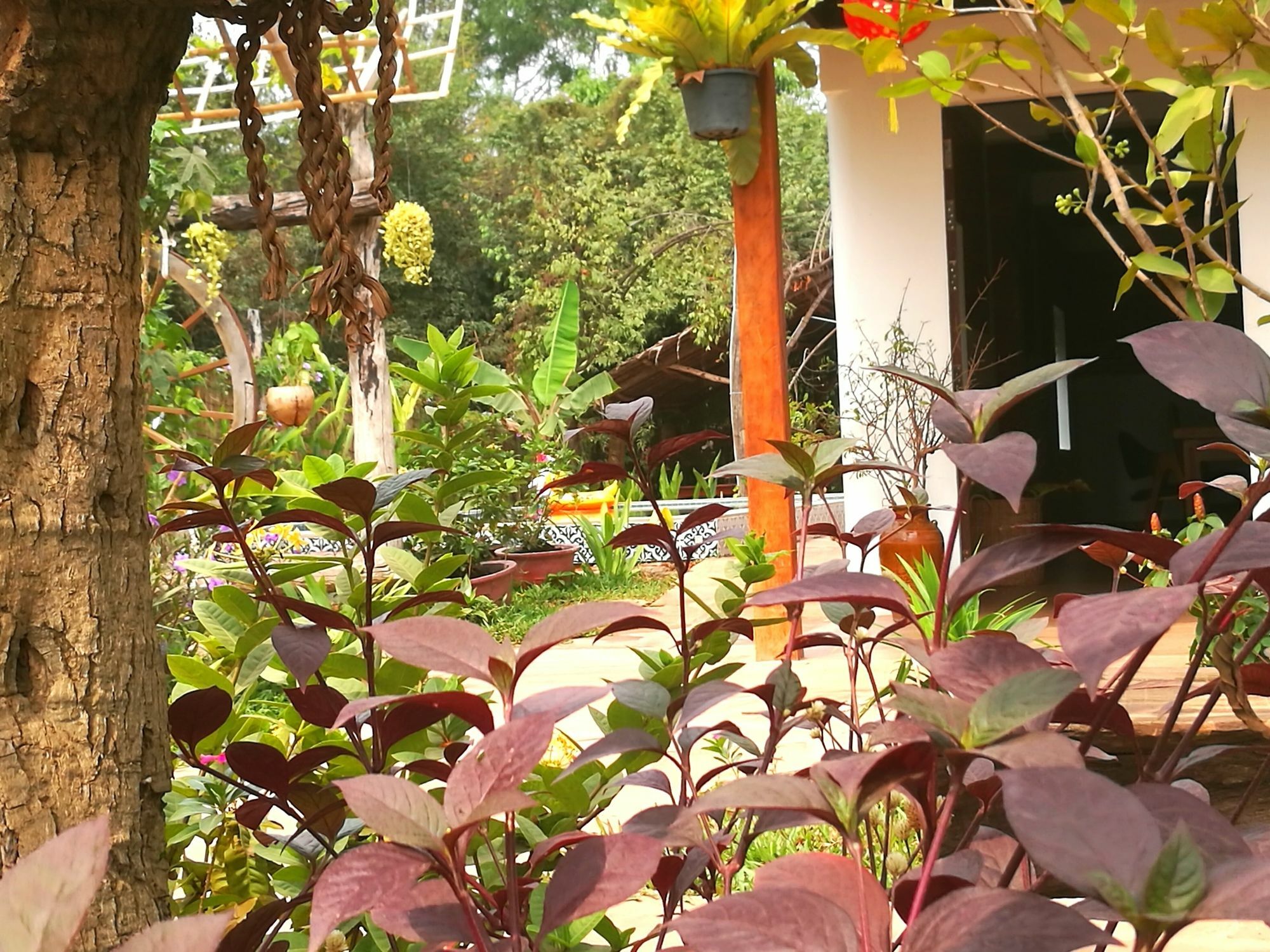 Angkor Dino B&B Siem Reap Eksteriør bilde